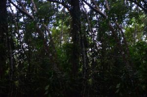 dsc_0567.jpg