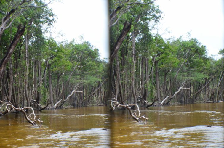 Stereoscopic (3D) photographs from Brazil