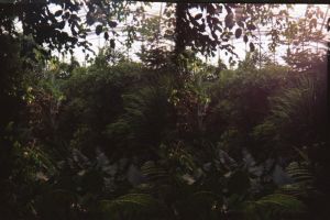 zoo-3d-04.jpg