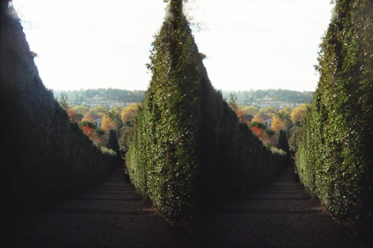 Italien, Florenz, Giardini di Boboli, 3D