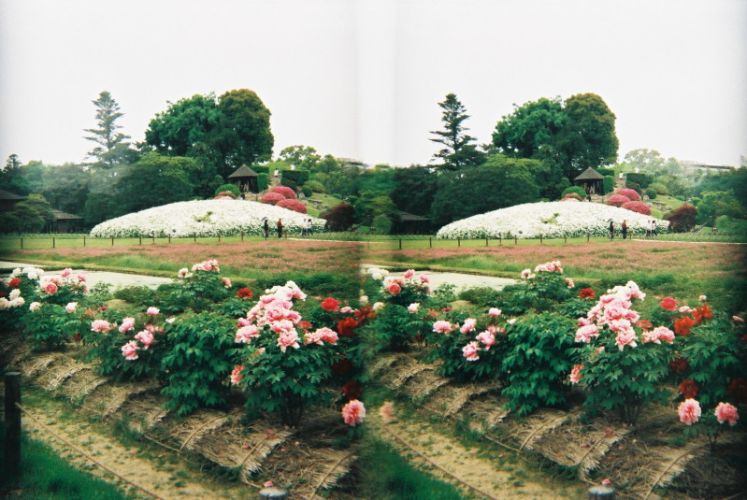 Japan, 3D, Okayama, Garten