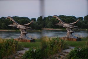 dsc_3458.jpg