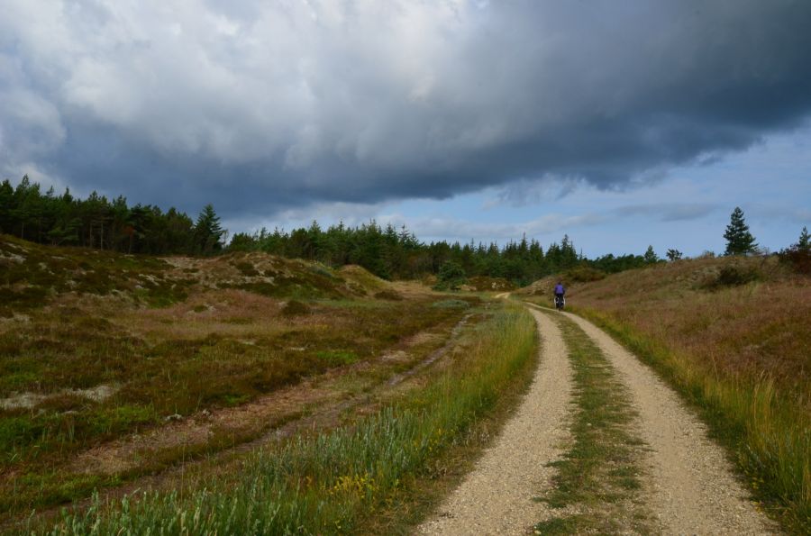 dsc_7447.jpg
